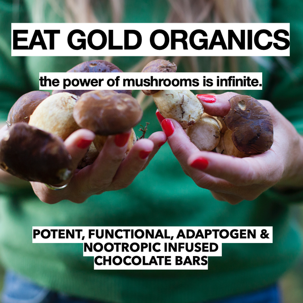 Eat Gold Organics - IMMUNE SHROOM (55 g)
