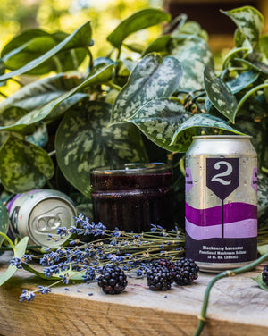 2 Toms - Blackberry Lavender Functional Mushroom Seltzer