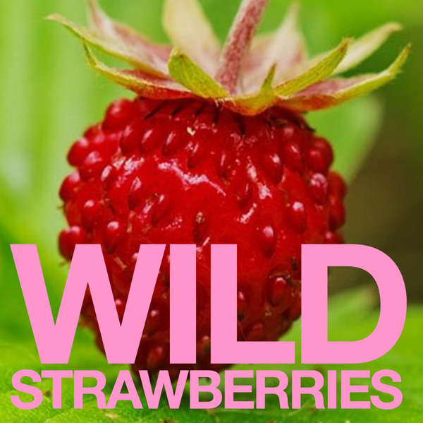 Eat Gold Organics - BIG ORGASM (55 g)