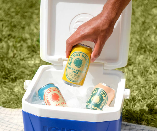 Best Day Brewing - Variety Twelve-Pack