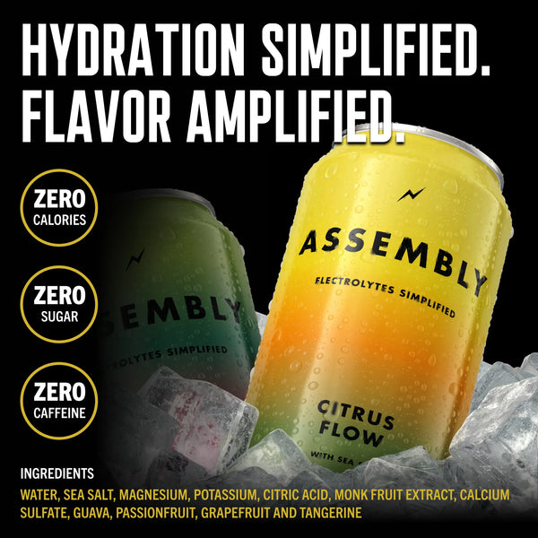 Go Brewing - Assembly Electrolyte Water Citrus Flow