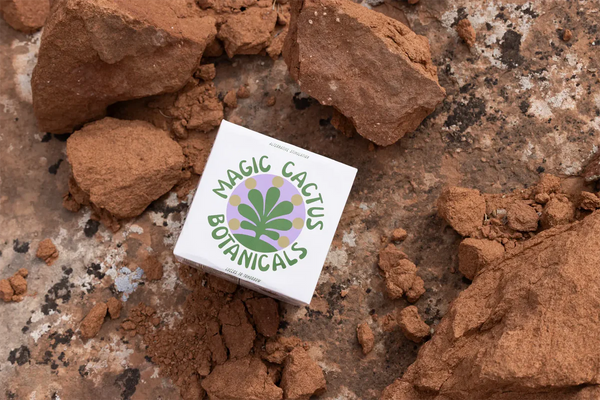 Magic Cactus - Lavender Raspberry - Low-Dose THC CBD Hemp Drinks