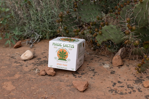 Magic Cactus - Spiced Peach - Low-Dose THC CBD Hemp Drinks