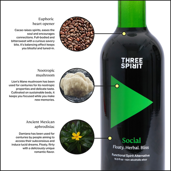 Three Spirit Social Elixir: Put a Pep in Your Step (16.9 fl oz), alcohol-free
