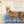 The Magnificent Book of Cats