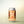 2 Toms Lil Ditty Tropical Sour, non-alcoholic beer, single can on a soft gradient background