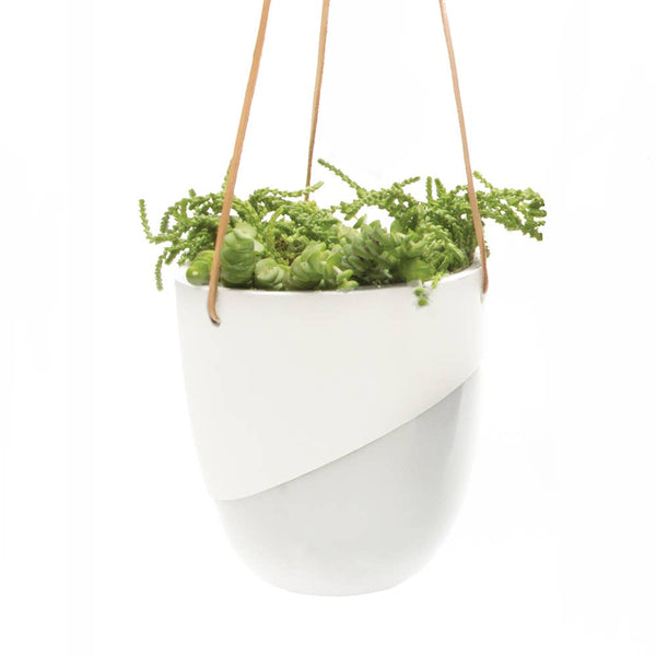 Chive - Bobbin 5" Hanging Planter