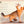 The Magnificent Book of Cats