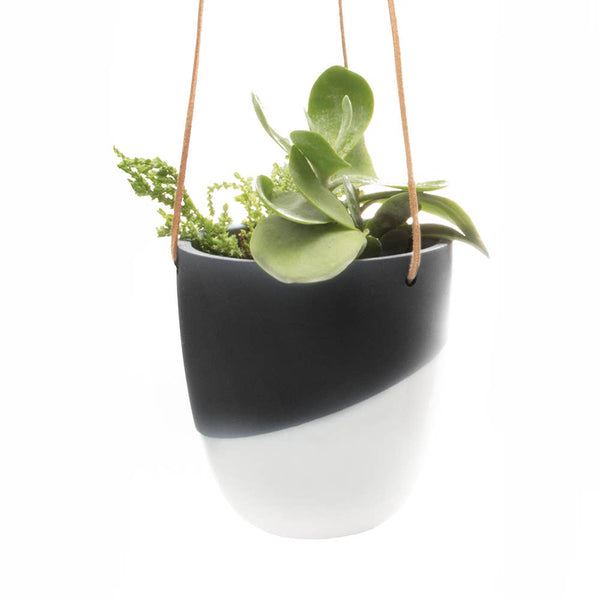 Chive - Bobbin 5" Hanging Planter