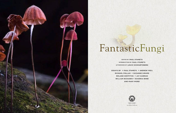 Fantastic Fungi