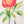 Flower Watercolor Workshop