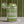 Dad Grass Leisure Drink - Margarita