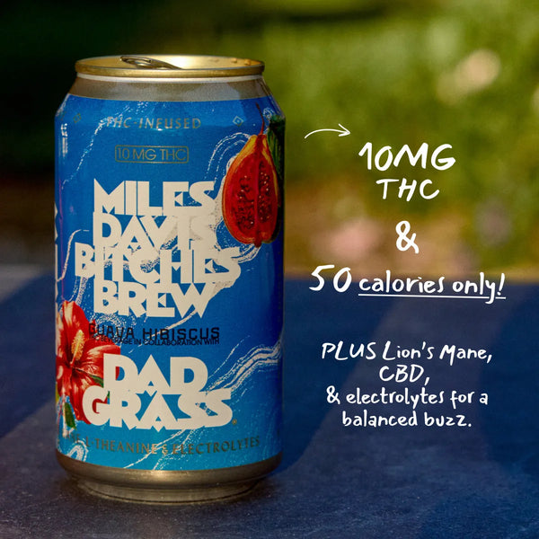 Dad Grass Leisure Drink - Miles Davis Bitches Brew (10 mg THC & CBD)