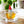Fred & Friends - Gnome Brew - Tea Infuser, alcohol-free