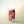Ghia Le Spritz Ginger (8.4 oz can), alcohol-free functional beverage, can on a soft gradient background