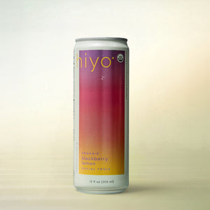 hiyo Blackberry Lemon Seltzer, alcohol-free functional wellness beverage, can on a soft gradient background