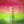 The Creative Department Social Formula - Guava Basil Kanna Beverage (12 oz)