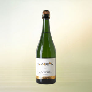 Tomorrow Cellars Sparkling Blanc de Rhône non-alcoholic wine bottle on cream background