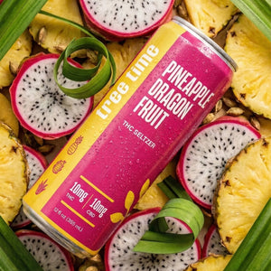 Tree Time Pineapple Dragon Fruit THC seltzer — 12 oz can, 5 mg THC and 5 mg CBD