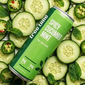 Tree Time Spicy Cucumber Mint THC seltzer — 12 oz can, 5 mg THC and 5 mg CBD