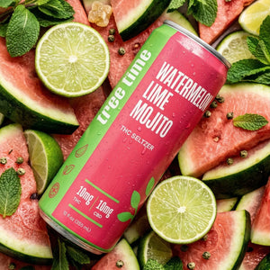 Tree Time Watermelon Lime Mojito THC seltzer — 12 oz can, 10 mg THC and 10 mg CBD