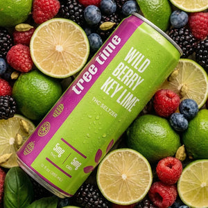 Tree Time Wild Berry Key Lime THC seltzer — 12 oz can, 5 mg THC and 5 mg CBD
